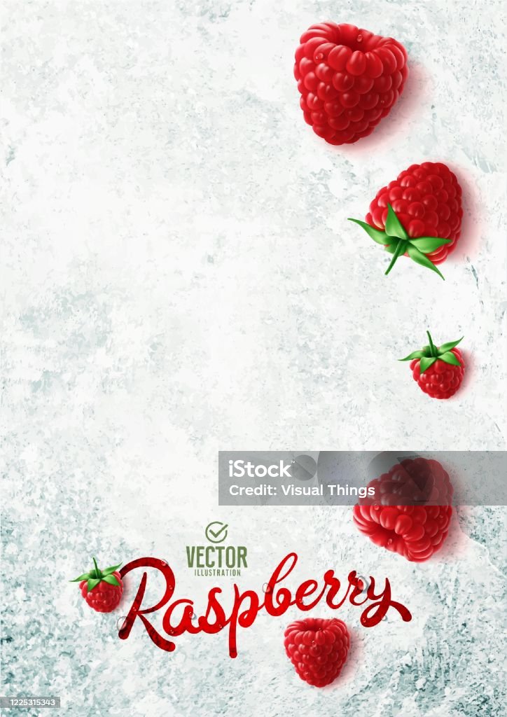 Raspberry Vector Realistic Vector Realistic Raspberry Illustration On White Stone Background Stock ...