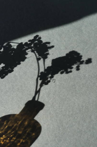 istock natural leaves shadows  background on grey wall texture . copy space. floral card 1225315484