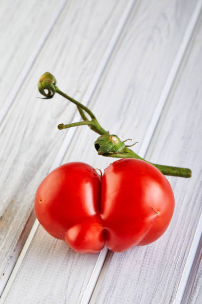 Ugly fruit or vegetable. Severely malformed mutant tomato. Food shops mostly prefer the best quality fruit and vegetables. Ugly fruit is not in high demand.