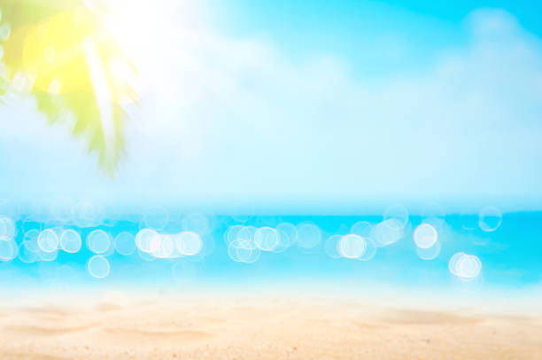 istock Blur beautiful nature green palm leaf on tropical beach with bokeh sun light wave abstract background. 1225318761