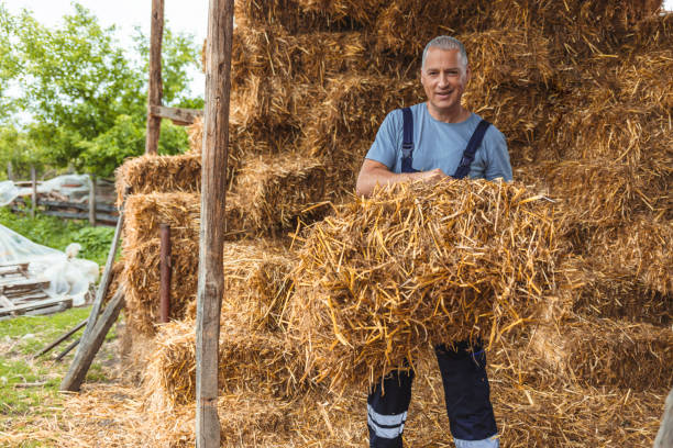Boy sitting on a haystack in summer watching the sunset