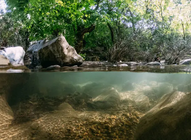 Photo of Half Underwater View River