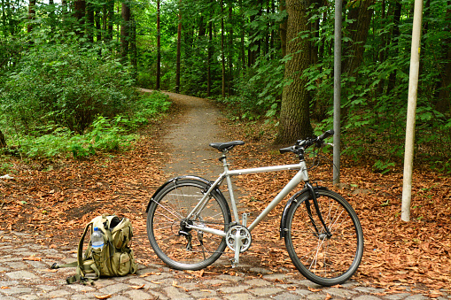 Bike trail in the forest , 
a beautiful voyage in nature