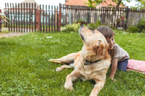 istock Little boy with big dog 1225325530