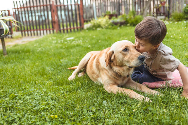 istock Dogs are like big kids with fur 1225325549