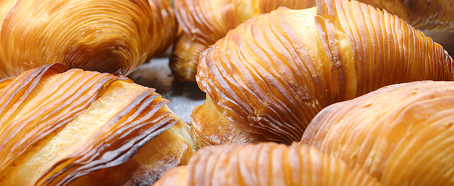 background of pastries called SFOGLIATELLA the typical dessert of the Italian Campania region and of the city of Naples