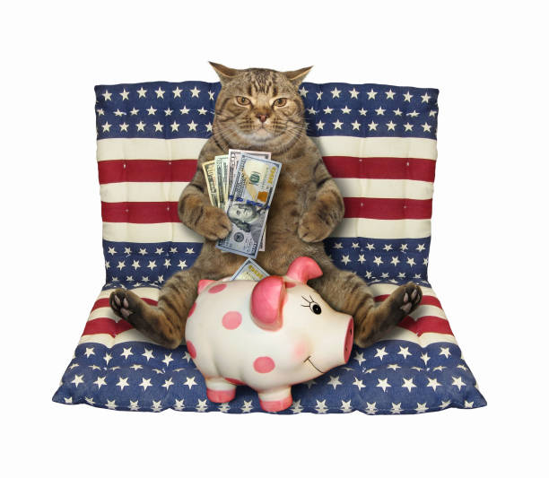 istock Cat with piggy bank on air bed 1225336172