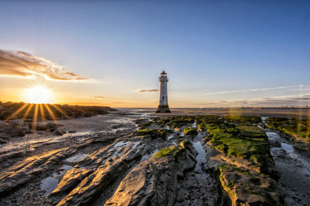 nuovo faro di brighton perch rock e forte napoleonico - perch rock lighthouse foto e immagini stock