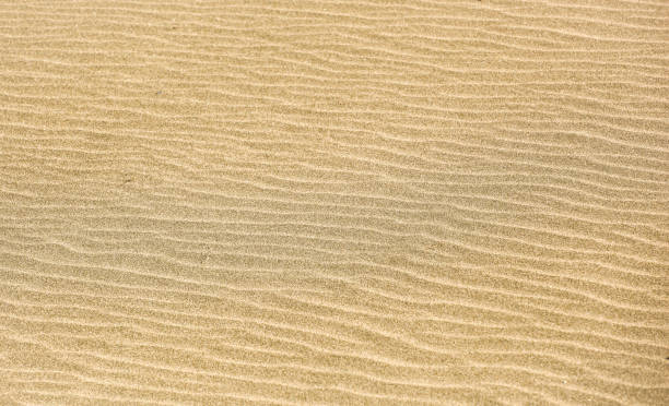 istock Close-Up Of Sand Background Texture 1225338071