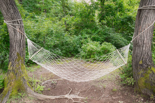 istock A hammock in the forest in Japan 1225339931