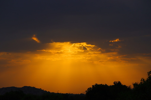 black yellow silhouette image on sunset (sunrise) with landscape