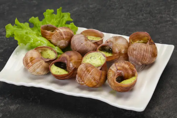 French cuisine - Escargot with butter sauce