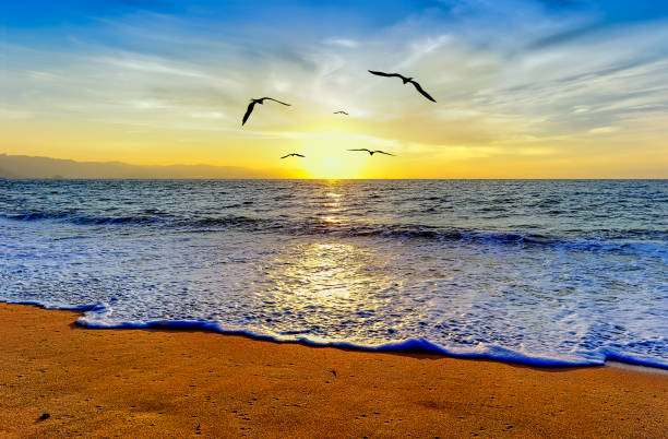 istock Uplifting Divine Birds Flying 1225352470