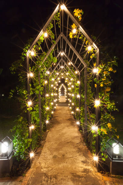 istock Romantic walkway with gold lighting from lamp, Walkway at night 1225357600