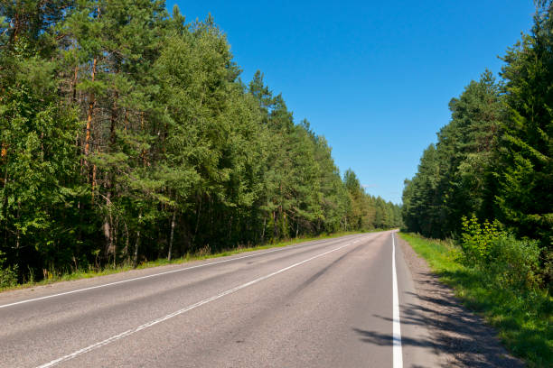 istock Asphalt two-lane highway through the forest 1225359049