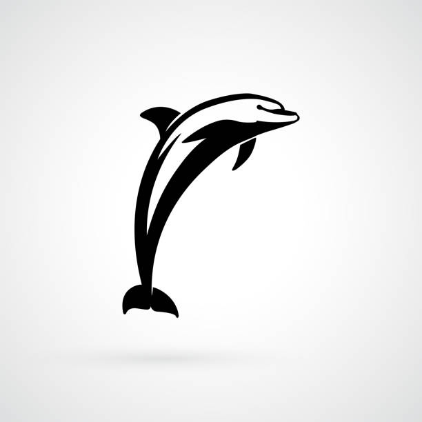 dolphin jump dolphin logo sign isolated vector illustration marine life logo stock illustrations