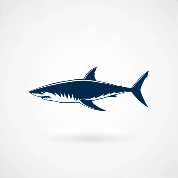 Vector illustration of Great white shark sign logo