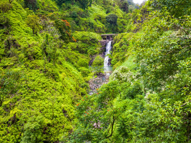 マウイ島,ハワイハナハイウェイワイルアイキ滝道からハナへカフルイとハナを結ぶ - maui waterfall hawaii islands hana ストックフォトと画像