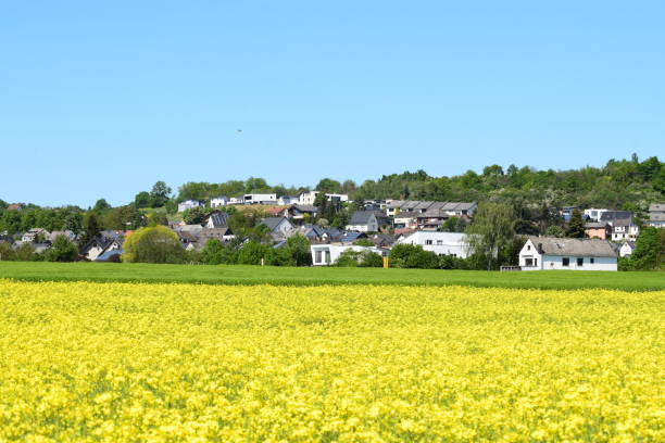 istock yellow fields in front of a village 1225367274