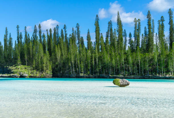 natural swimming pool of Oro Bay, Isle of Pines, New Caledonia beautiful natural swimming pool of Oro Bay, Isle of Pines, New Caledonia. sky is blue with some clouds. sea is turquoise. an isolated rock is in the bay new caledonia photos stock pictures, royalty-free photos & images
