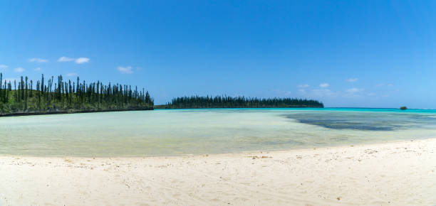 istock panoramic view of isle of pines 1225367551