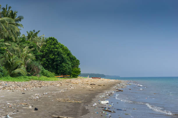 istock tropical beach with palm trees and sea. 1225368551