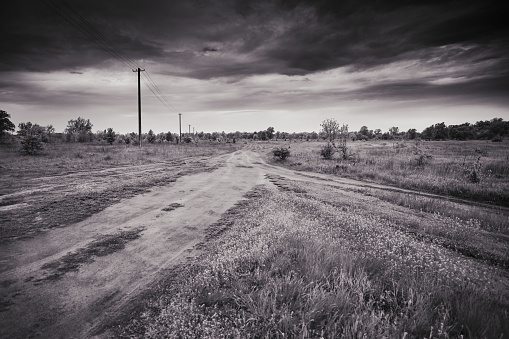 View of a dirt road in a spring forest on a cloudy day.
