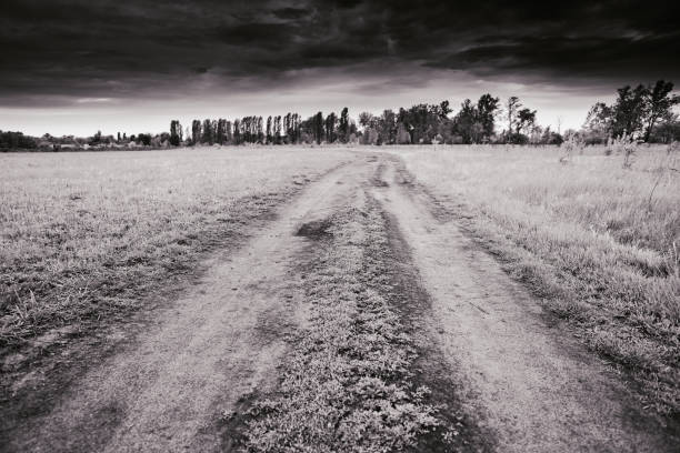 istock View of a dirt road in a spring forest on a cloudy day. 1225369135