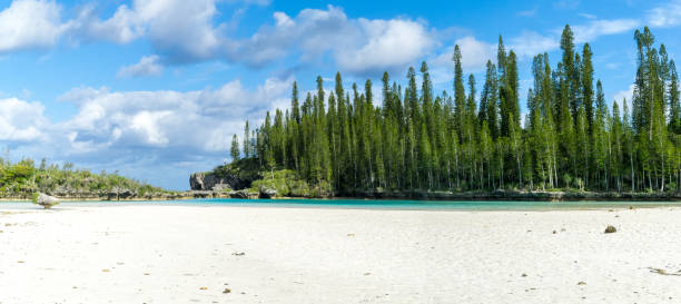 istock natural swimming pool, oro bay 1225369199
