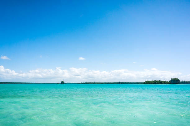 istock seascape of paradise 1225369217