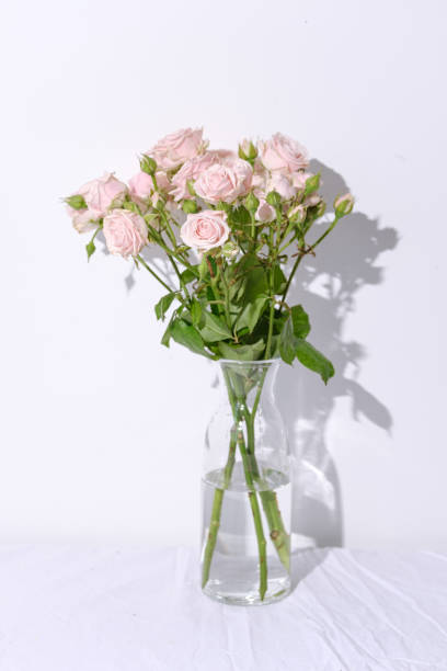 istock Flowers in a vase 1225371943