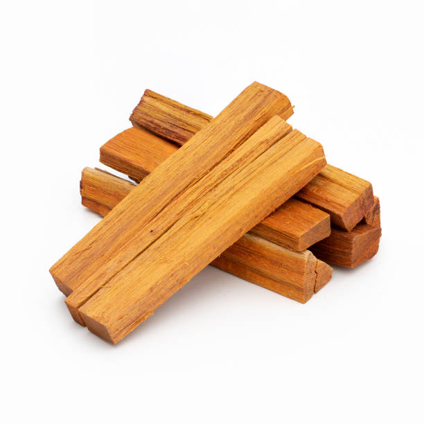 istock sappan wood tree isolated on white background 1225374302