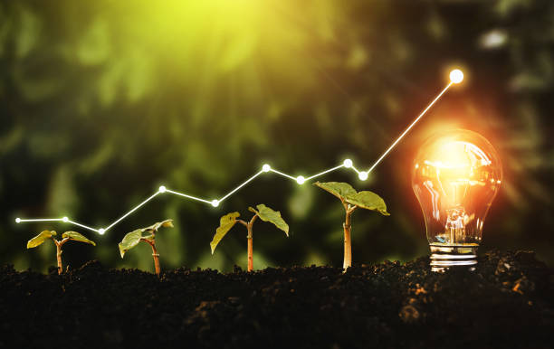 glühbirne befindet sich auf dem boden, und pflanzen wachsen. die erzeugung erneuerbarer energien ist für die zukunft von wesentlicher bedeutung. - innovation fotos stock-fotos und bilder