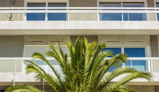 istock hotel white front facade buildings  and palm on south Mediterranean district 1225376515