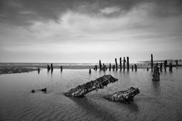 istock Wood Landscape at Winchelsea 1225377634