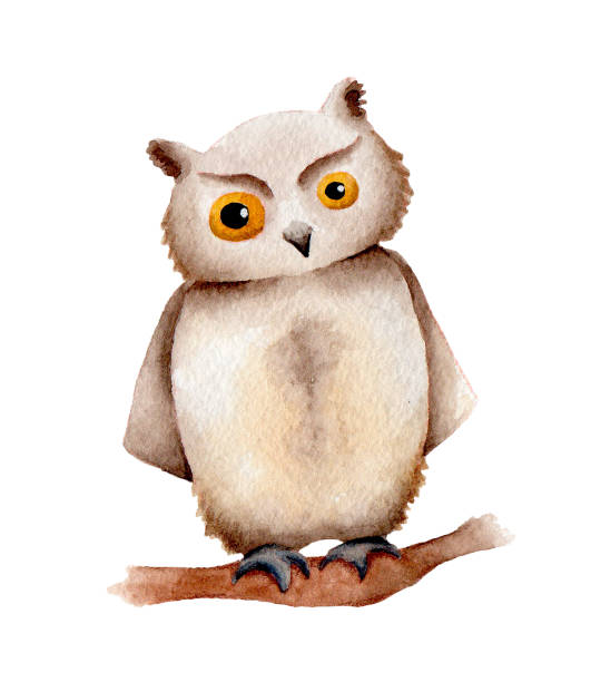 istock owl children's illustration cartoon brown and cute 1225379062