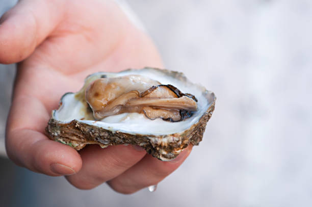 istock Fresh open oyster in the hand 1225380063
