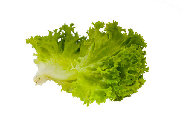 istock Green lettuce isolated on white 1225380523