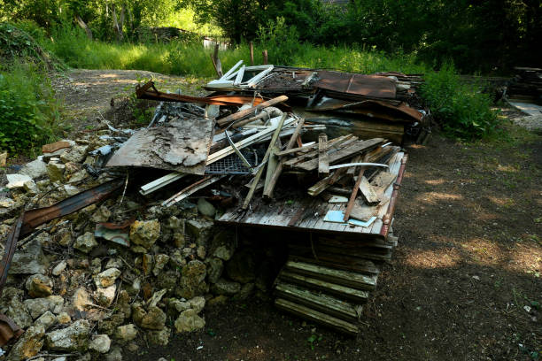 istock Wild discharge. Debris and rubbish. 1225380790