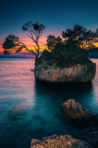 Cute small island with pine trees in the clean bay. Great spectacular nature place with island in the clear sea at sunset, Brela, Makarska riviera, Dalmatia, Croatia, Europe
