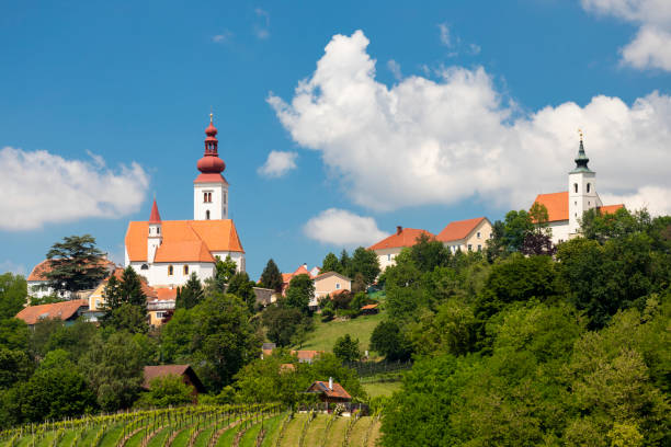 istock Town Straden and vineyards in Styria, Austria 1225383106