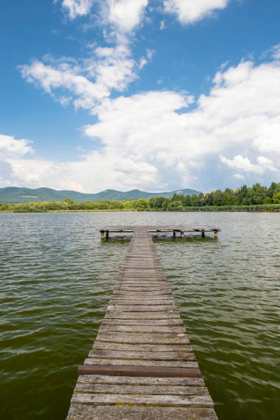 istock Pier on the pond Jenoi-to, Hungary 1225383742