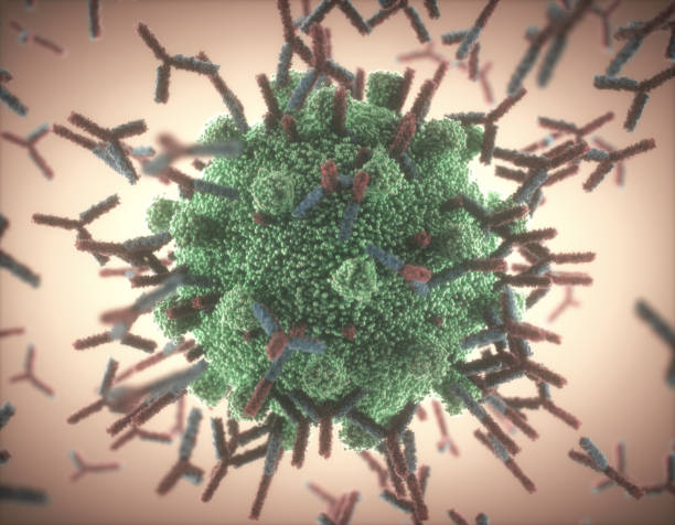 istock Y-Shaped Antibody Attacking Coronavirus Covid-19 1225384606