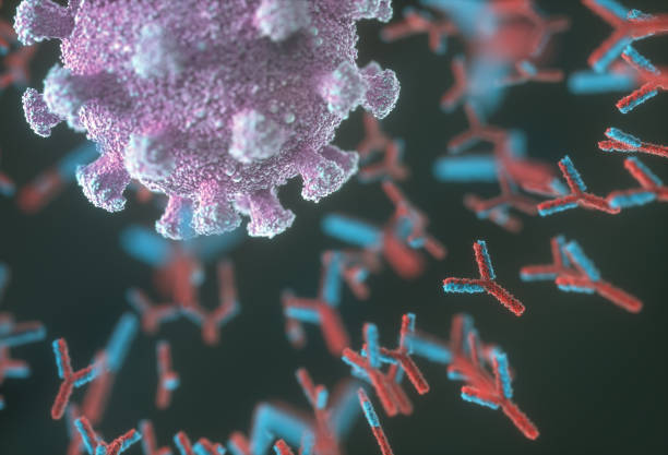 istock Y-Shaped Antibody Attacking Coronavirus Covid-19 1225384766