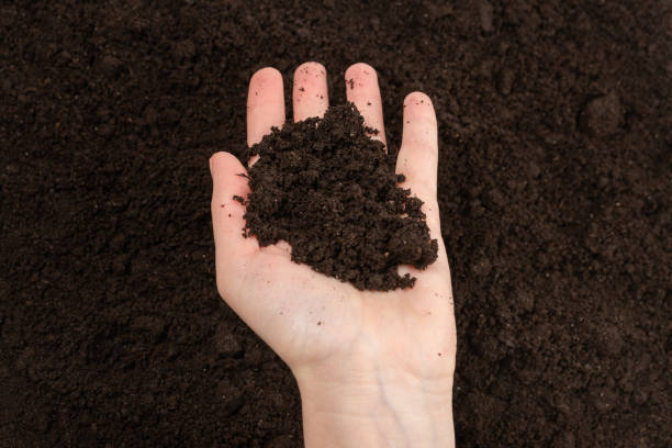 istock Woman hand holding ground. 1225385015
