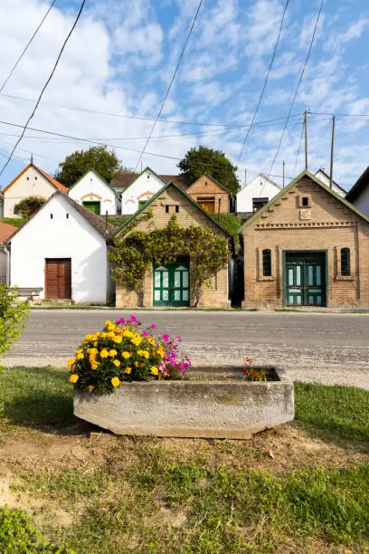 Photo of wine cellars in Villanykovesd, Villany, Hungary