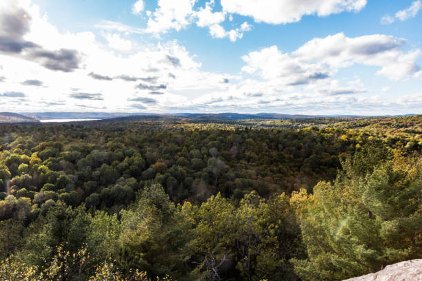 istock Typical and beautiful scene at Algonquin Provincial Park in Ontario, Canada with all it's Trees, Forest, Hills, Lakes and Wilderness 1225386447