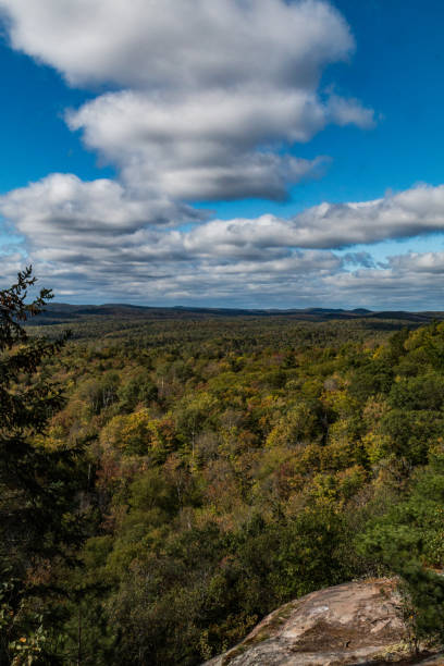 istock Typical and beautiful scene at Algonquin Provincial Park in Ontario, Canada with all it's Trees, Forest, Hills, Lakes and Wilderness 1225386595