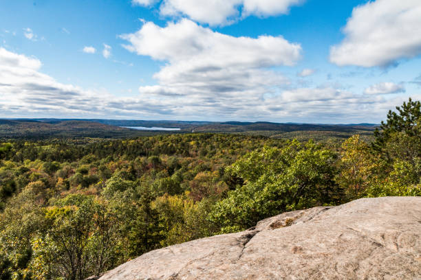 istock Typical and beautiful scene at Algonquin Provincial Park in Ontario, Canada with all it's Trees, Forest, Hills, Lakes and Wilderness 1225386625