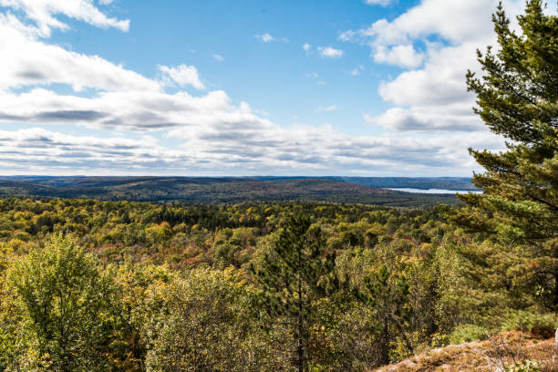 istock Typical and beautiful scene at Algonquin Provincial Park in Ontario, Canada with all it's Trees, Forest, Hills, Lakes and Wilderness 1225386705